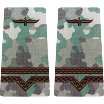 GRADE COMBAT TERESTRU MAISTRU MILITAR CLASA 4 Aviația Română (Forțele Aeriene )